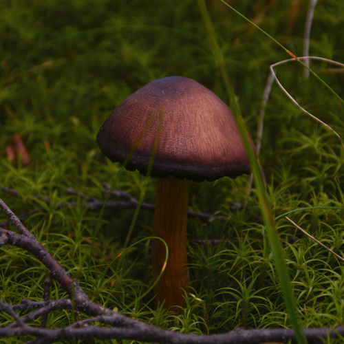 Photo #13935563