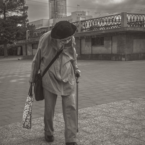 Photo #13935598