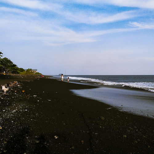 Photo #13935599