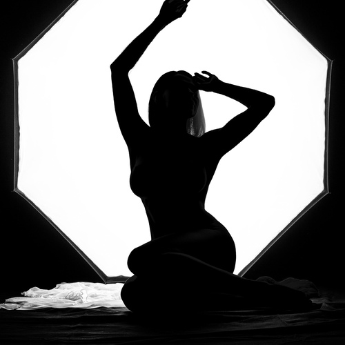 Photo #13935606