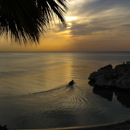 Photo #13935645