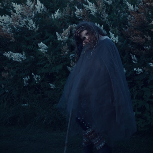 Photo #13935662