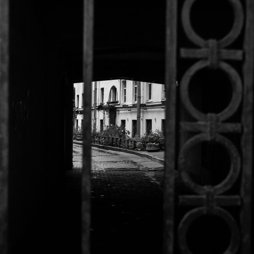 Photo #13935684
