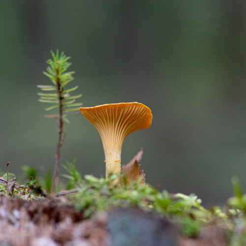 Photo #13935792