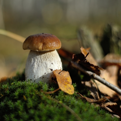 Photo #13935837