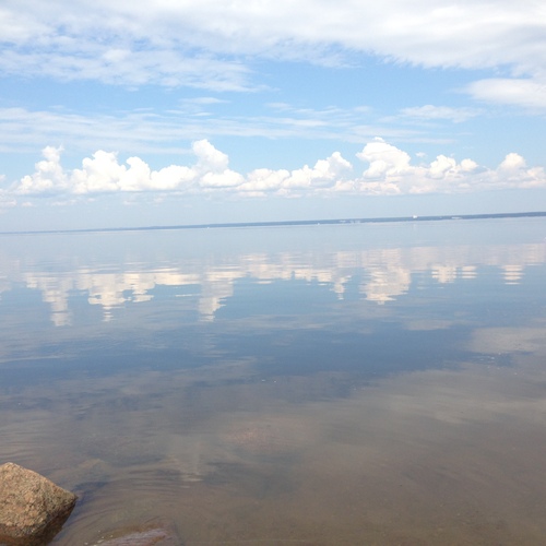 Photo #13935897