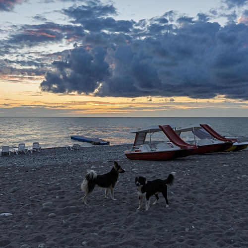 Photo #13935903