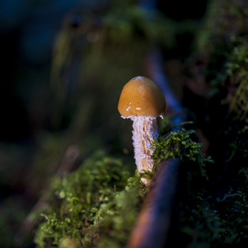 Photo #13935916