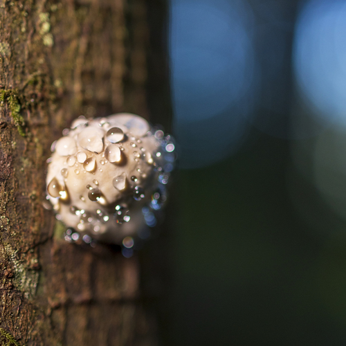 Photo #13935918