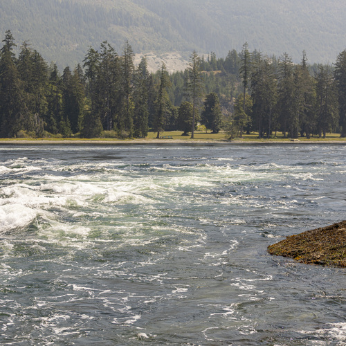 Photo #13935929