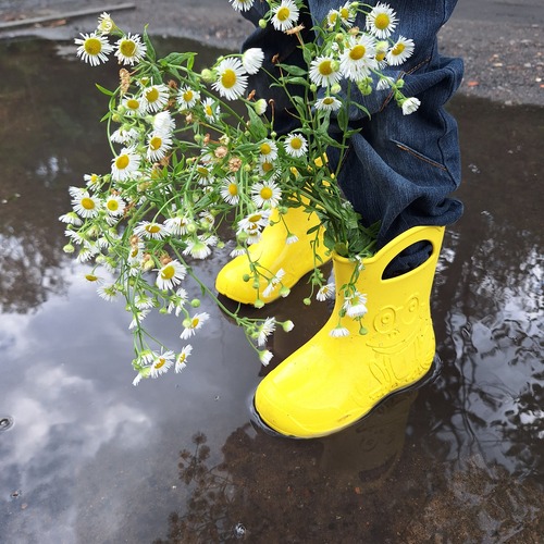 Photo #13935955