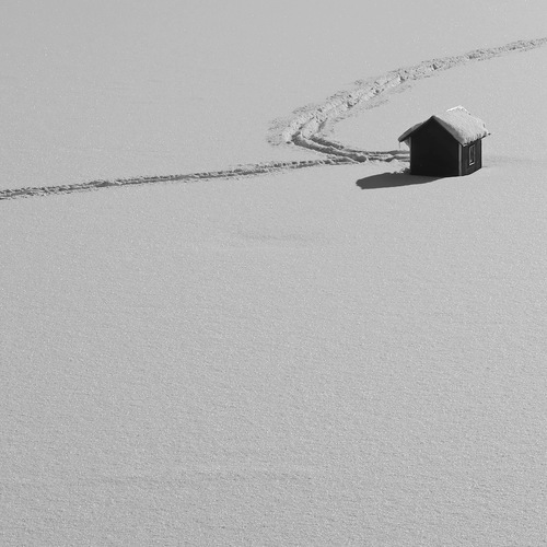 Photo #13936078
