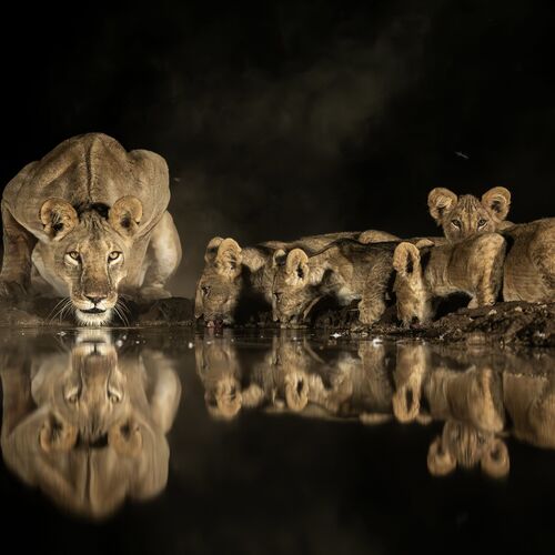 Photo #13936156