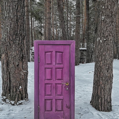 Photo #13936169