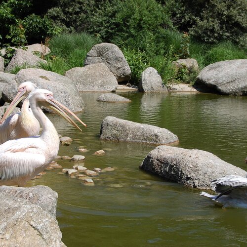Photo #13936199