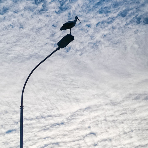 Photo #13936200