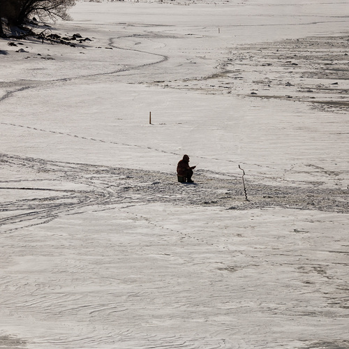 Photo #13936230