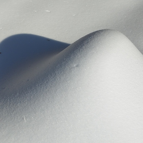 Photo #13936353