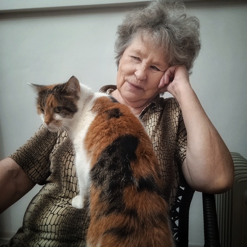 Photo #13936357
