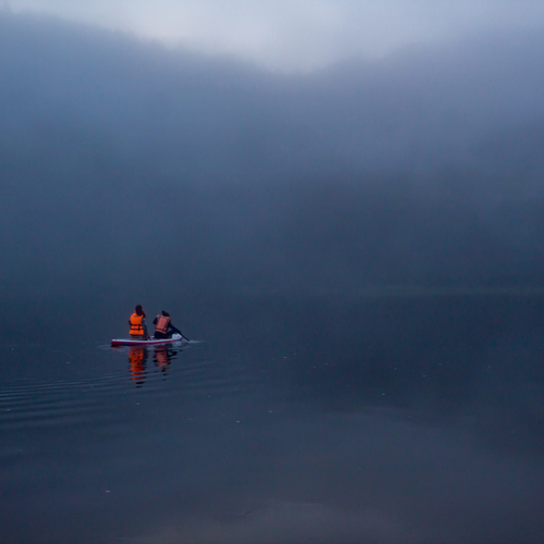Photo #13936391