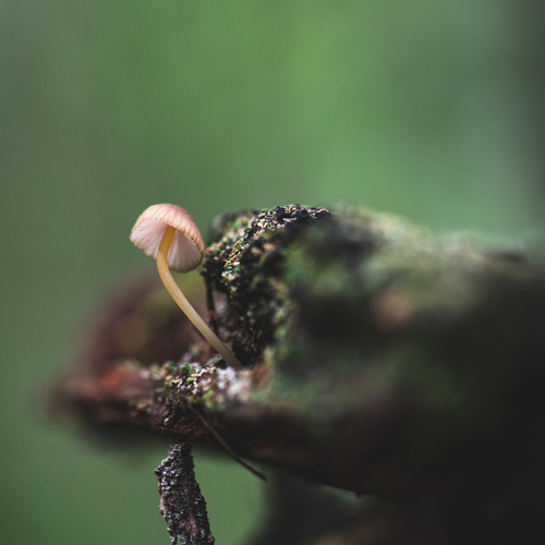 Photo #13936426