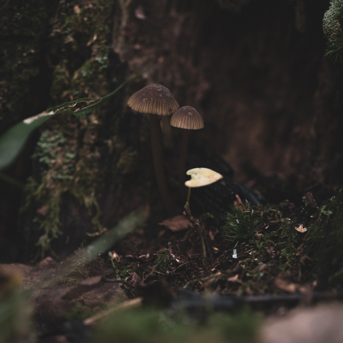 Photo #13936428