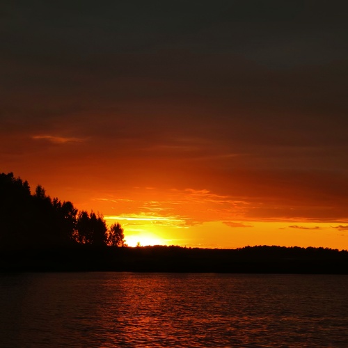 Photo #13936600