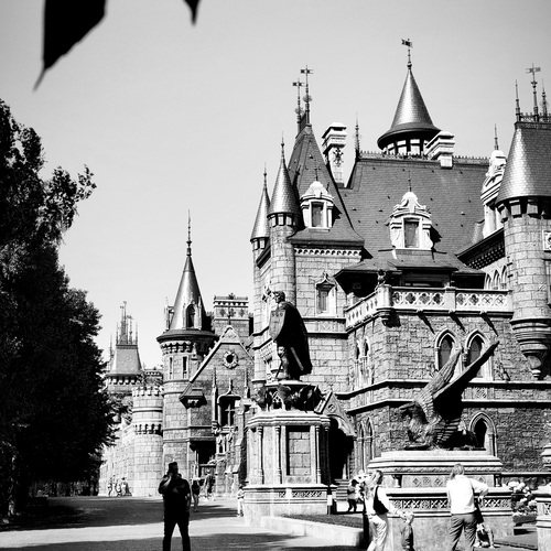 Photo #13936616