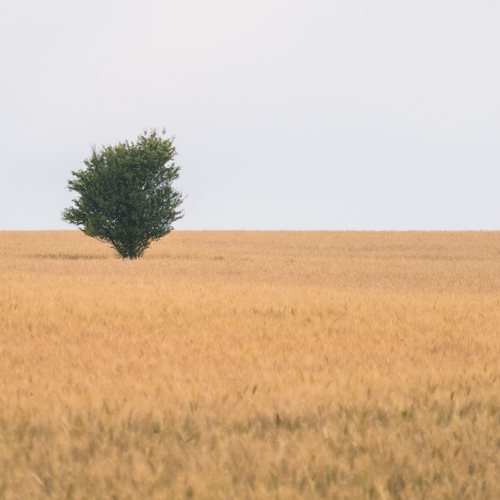 Photo #13936676