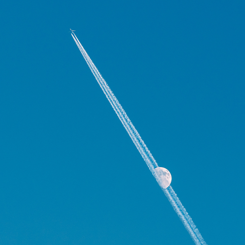 Photo #13936677