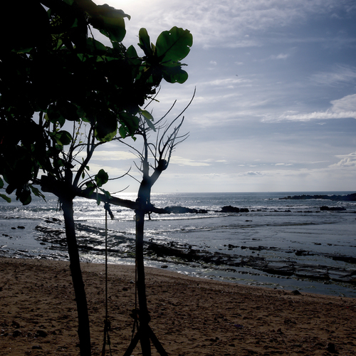 Harmony at the Edge of Silence