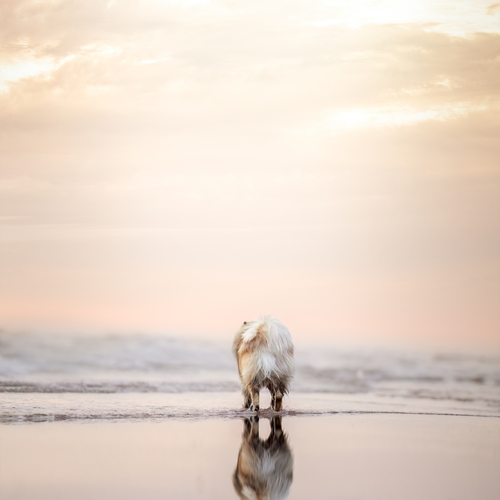 Photo #13937386