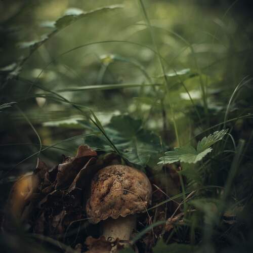 Photo #13937392