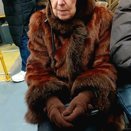Photo #13937445