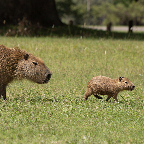 Photo #13937472