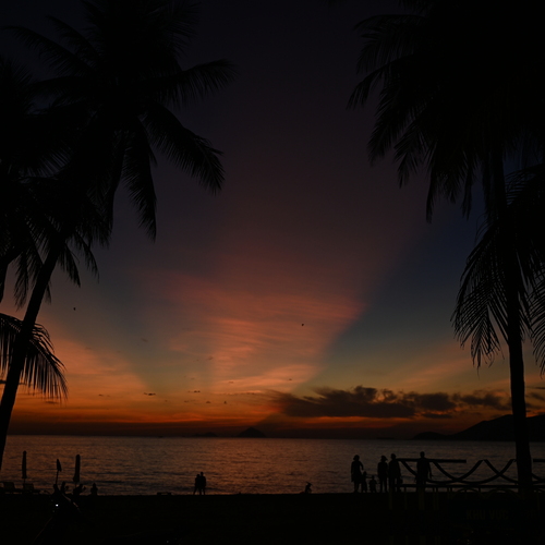 Photo #13937798