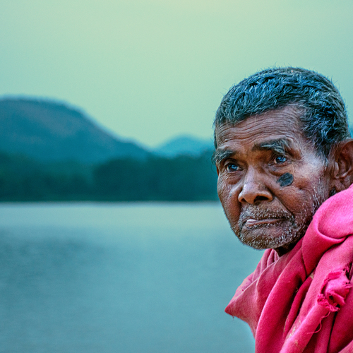 Photo #13937846