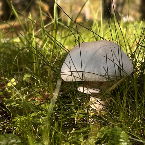 Photo #13937954