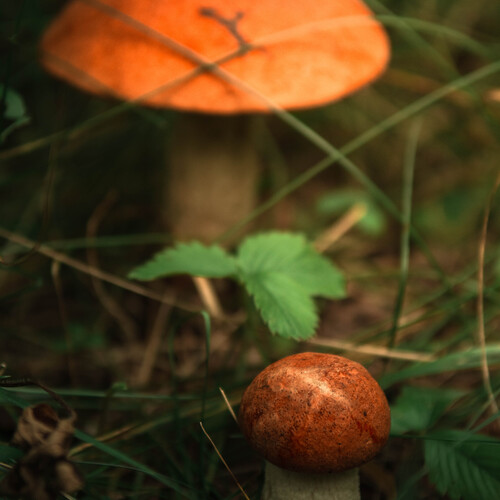 Photo #13938042