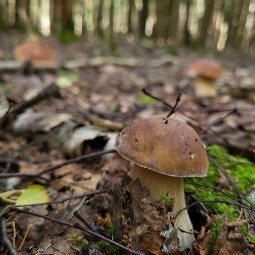 Photo #13938160