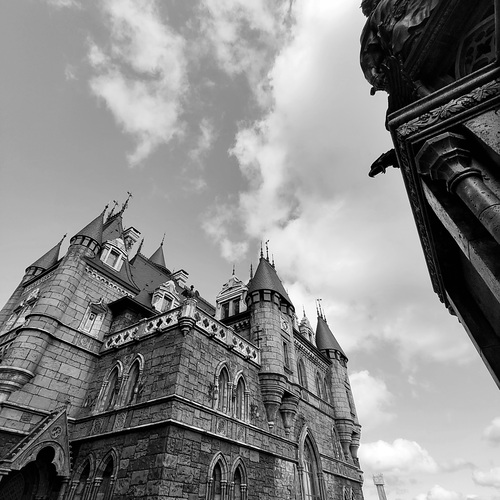 Photo #13938299