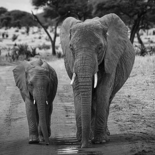 Photo #13938637