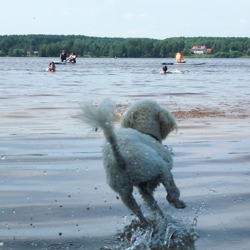 Photo #13938947