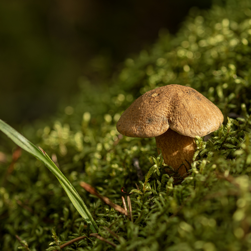Photo #13939102