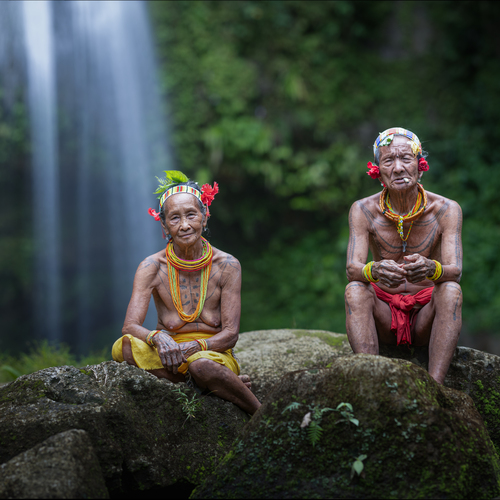Companions of the Ancestral Forest