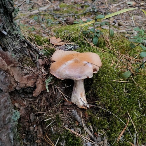 Photo #13939371