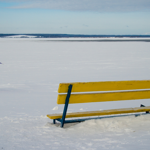 Photo #13939511