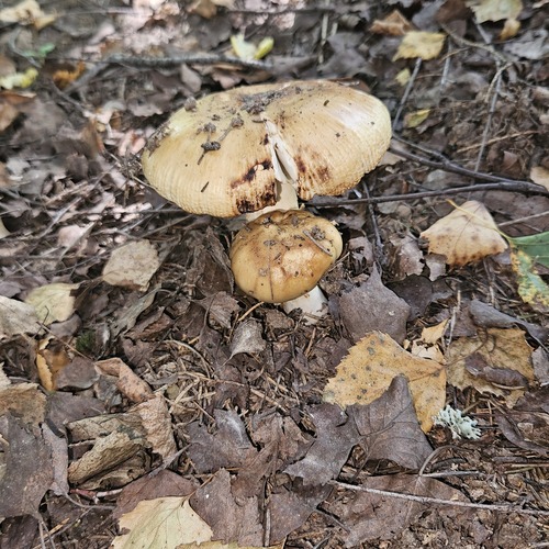 Photo #13939646