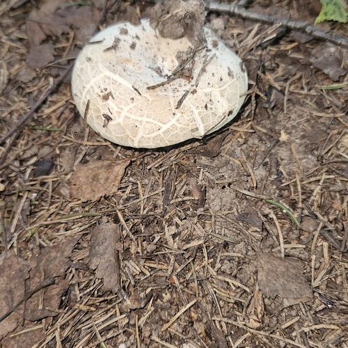 Photo #13939647