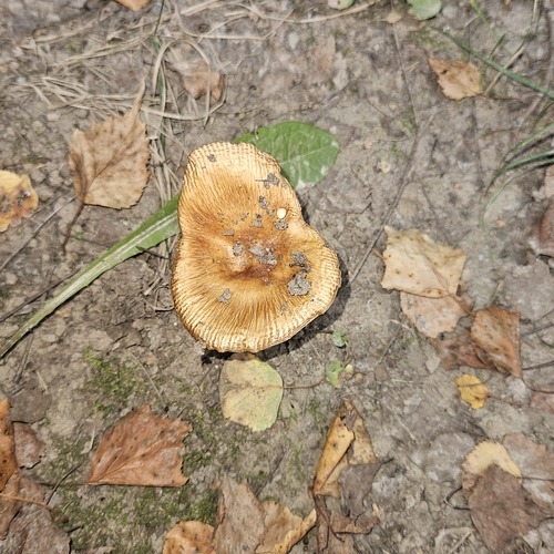 Photo #13939648